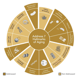 Key botanicals & probiotic strains in GENR8 WEIGHT MANAGEMENT — gentian, nettle, lactobacillus