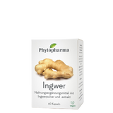 Phytopharma Ginger Capsules box – 60 pcs herbal supplement