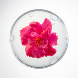 Swiss collagen facial & neck mask set – CellCollagen by Cellcosmet