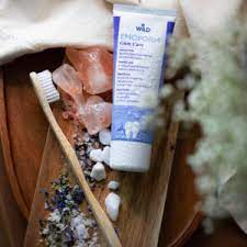 Close-up of DR. Wild Emoform Gum Care Toothpaste on toothbrush – supports sensitive gums & plaque control