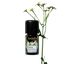 Farfalla Nausea-free aroma blend 5ml