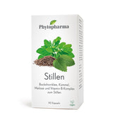 Phytopharma Stillen Capsules – lactation support with fenugreek & vitamin B complex (90 capsules)