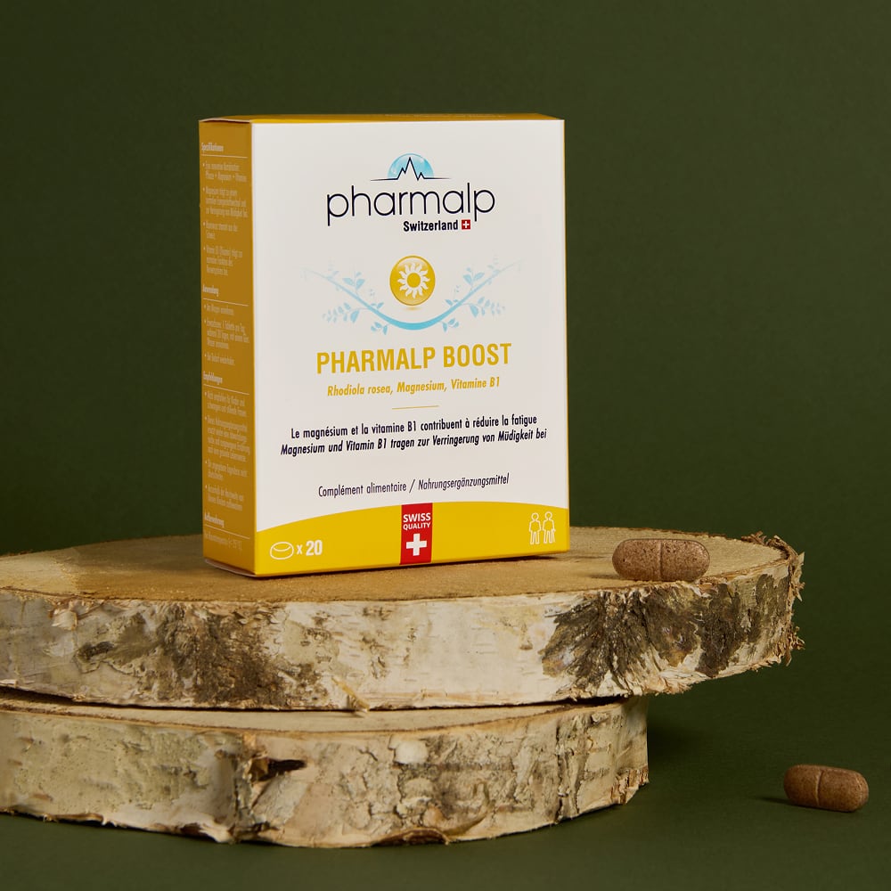 Rhodiola rosea root – adaptogenic plant used in Pharmalp BOOST